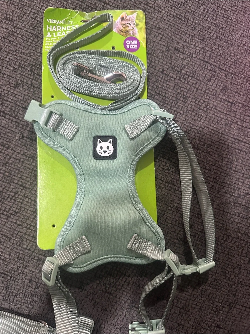 Vibrant Mint Green Cat Harness & Leash